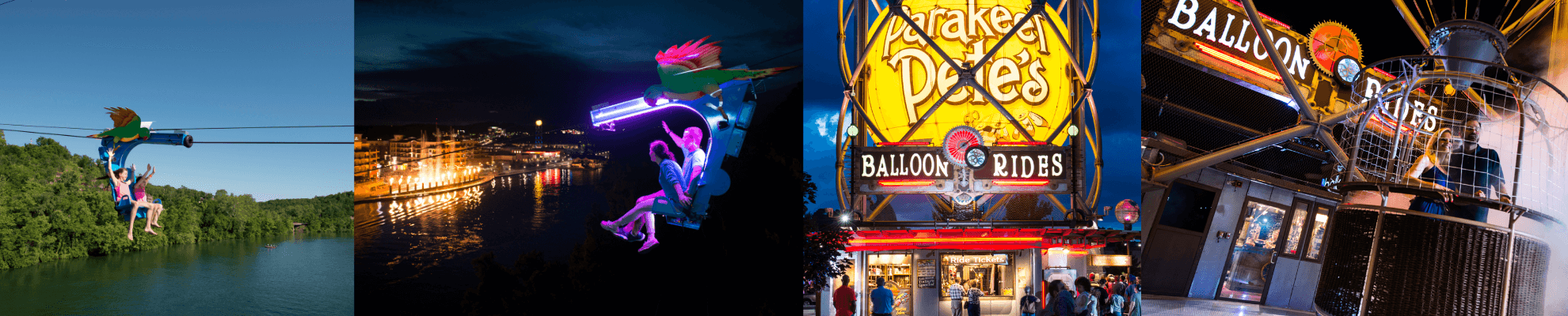 Parakeet Pete's Header