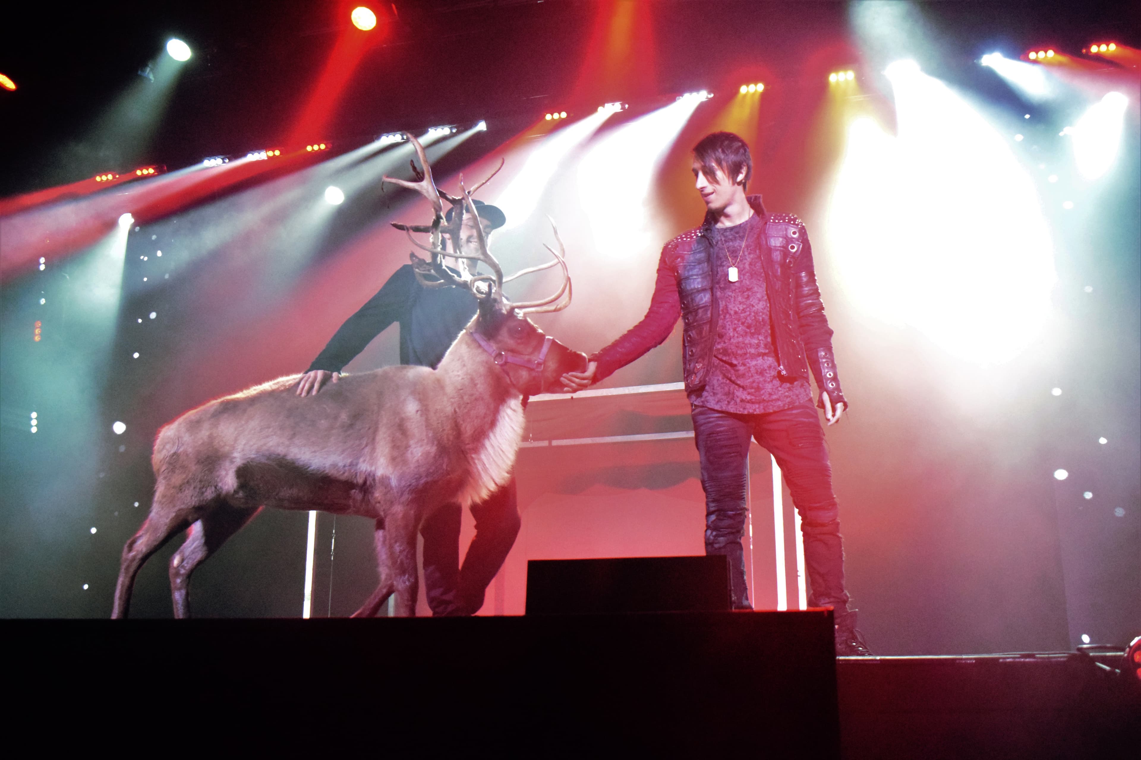 Reza Christmas 2023 -1