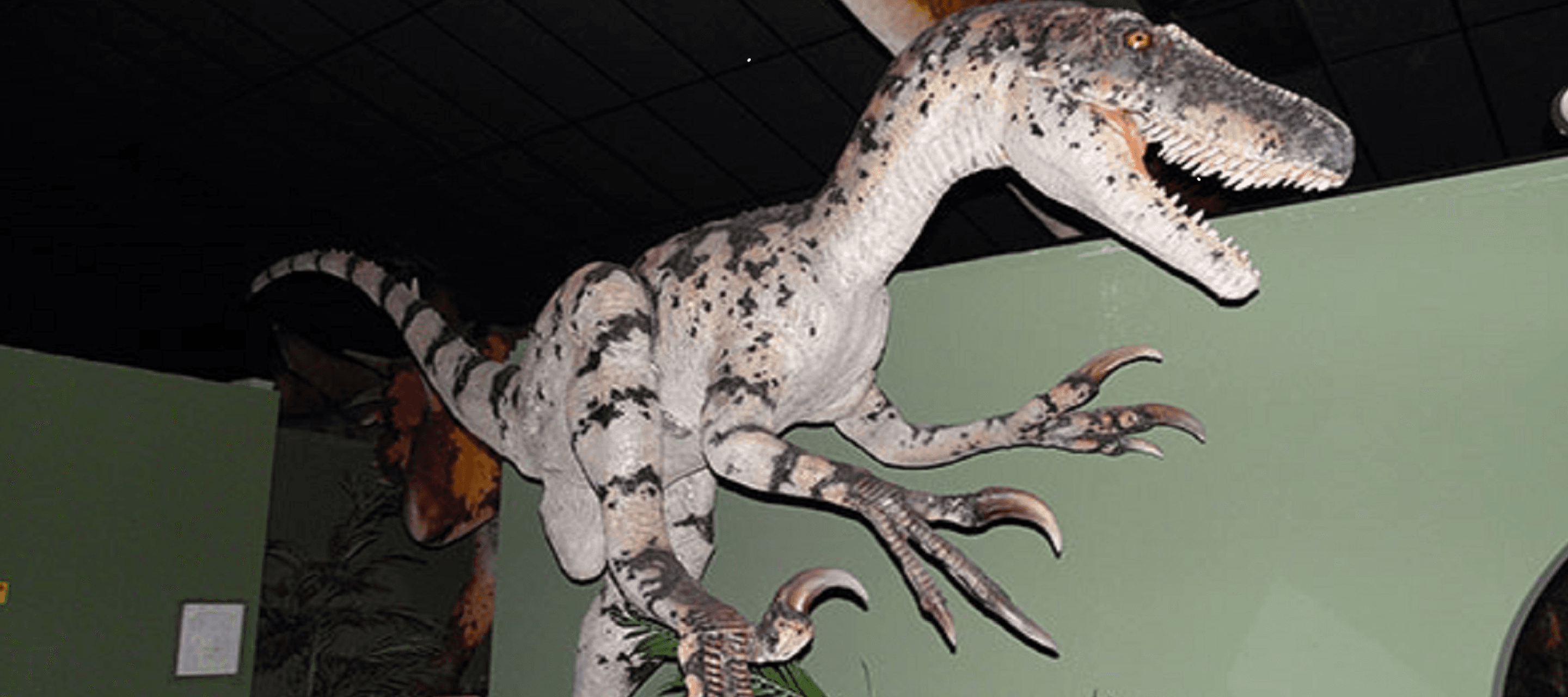 bransondinosaurmuseum1