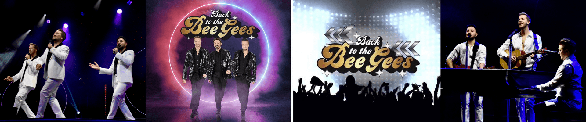 Back to the Bee Gees - New Header