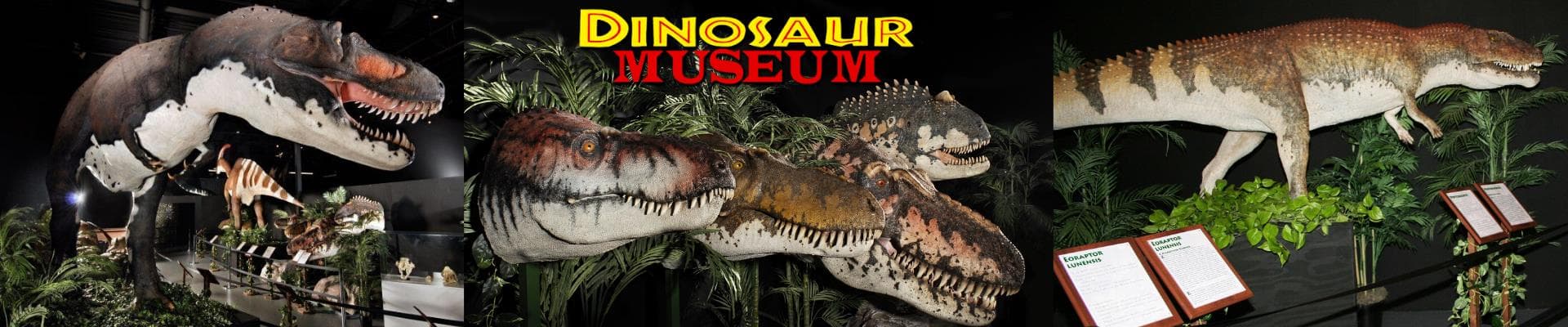 Branson Dinosaur Museum - Header