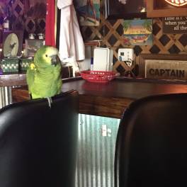 Cruise Inn Throttle Down Bar and Grill