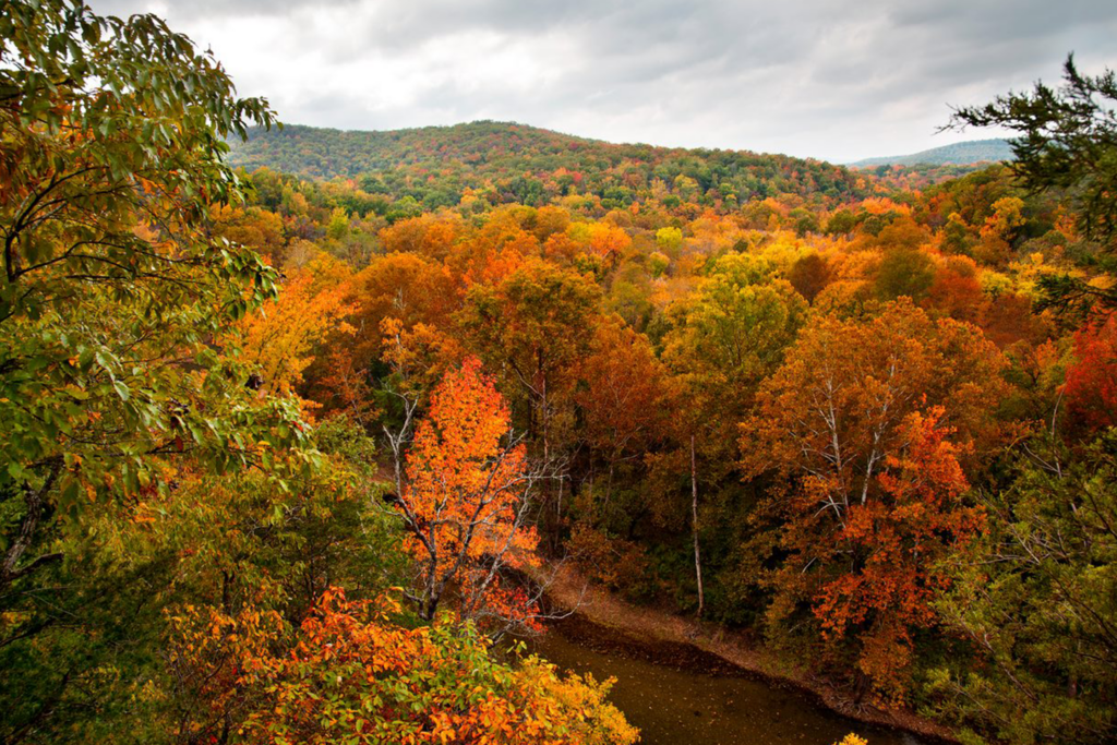 VIP Tours – Discover Branson Tours