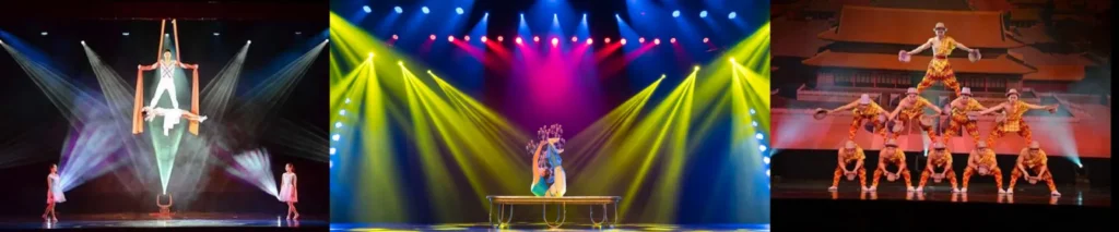 Amazing Acrobats – Grand Shanghai Circus