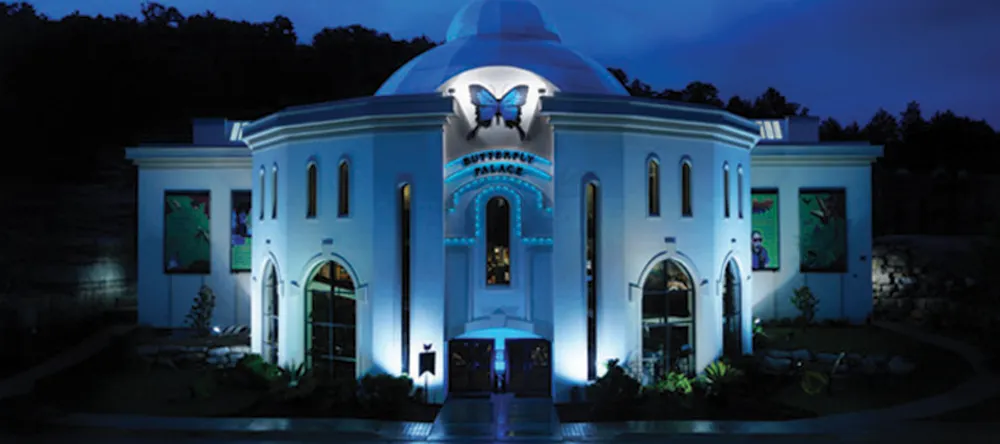 Butterfly Palace & Rainforest Adventure