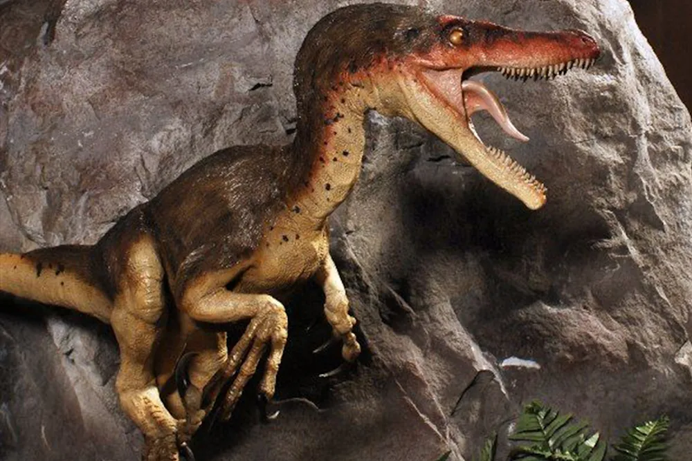 Branson Dinosaur Museum