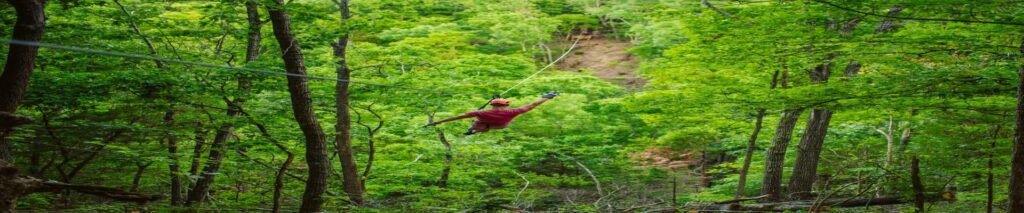 Shepherd of the Hills – 8-Lines Zipline Canopy Tour