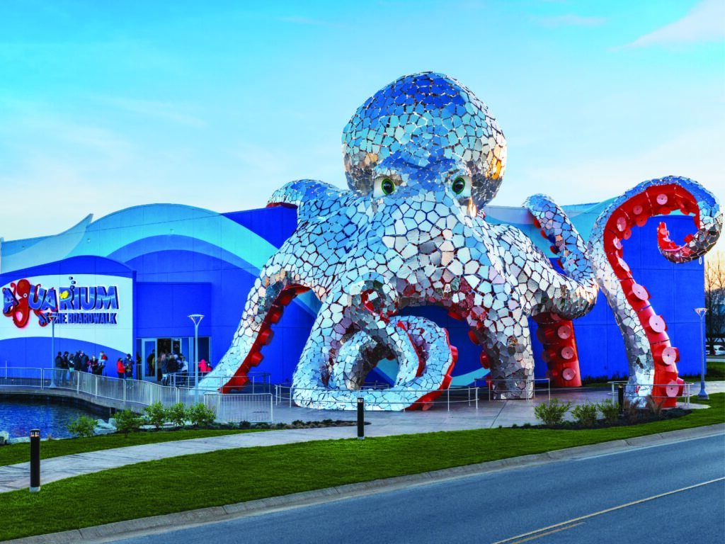 FIVE’r: Aquarium at the Boardwalk & Hollywood Wax Museum Ent Ctr