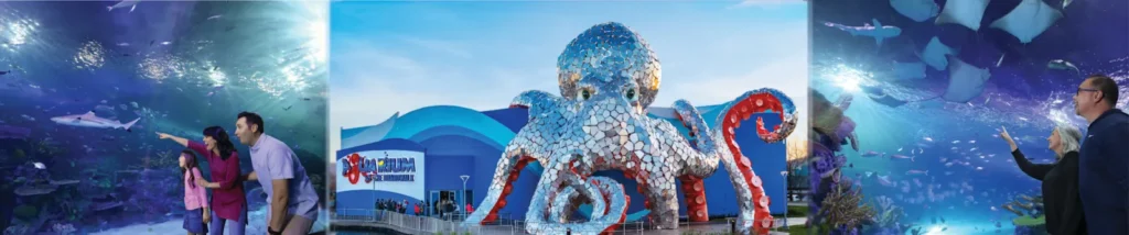 Aquarium at the Boardwalk