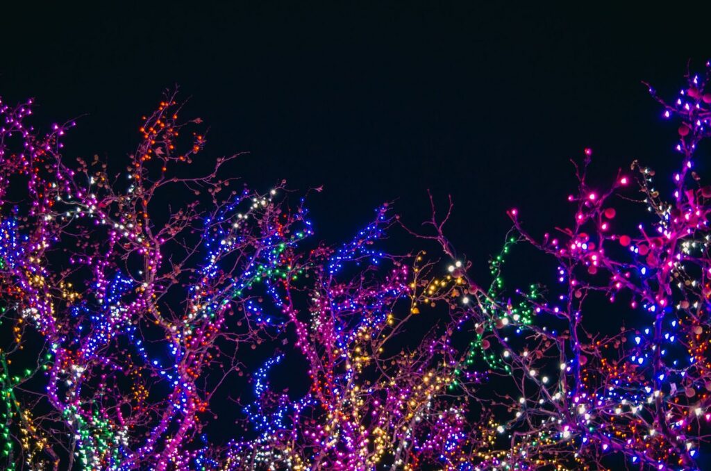 Bare tree branches wrapped in multicoloured string lights against a black night sky