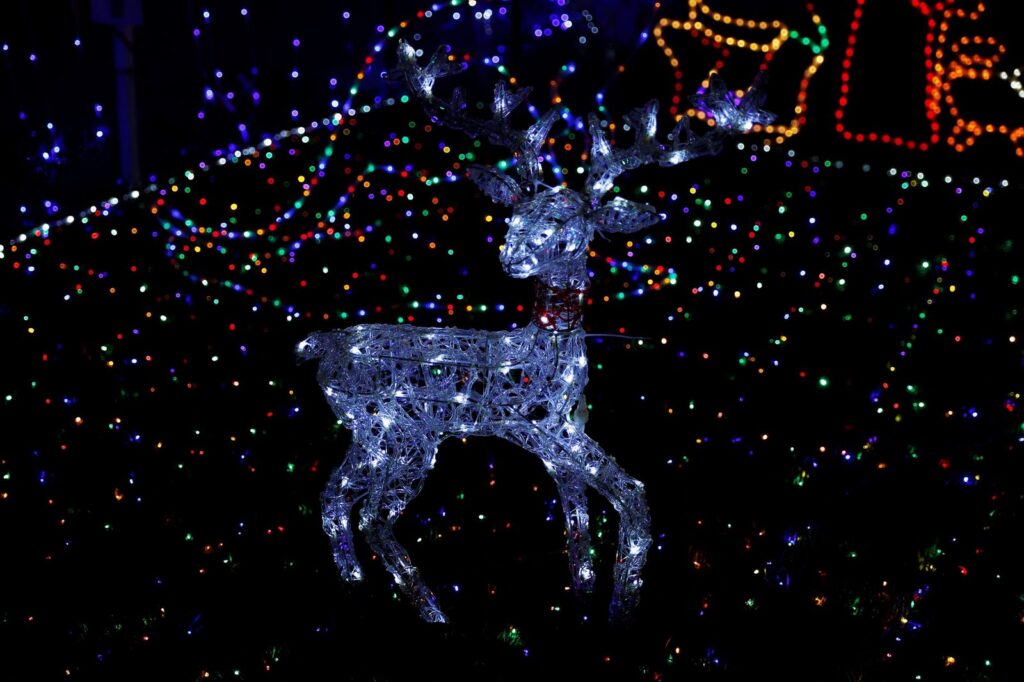 A wire frame reindeer lit with white lights standing in front of a field of multicoloured Christmas lights at night