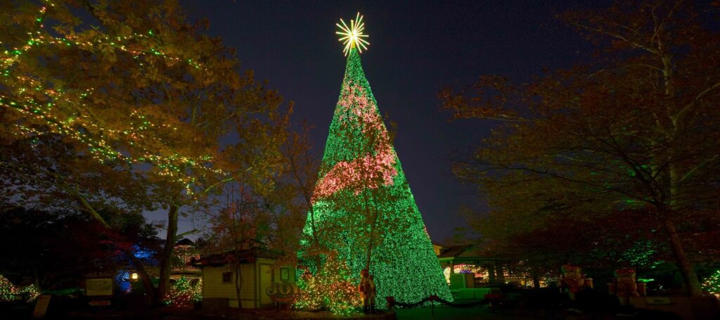A tall green-lit Christmas tree topped with a gold star against a night sky, with lit trees on either side