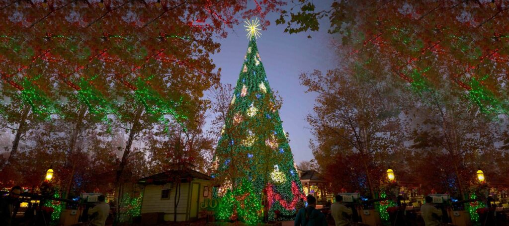 A tall Christmas tree lit green with a gold star topper, framed by autumn trees strung with red and green lights at dusk