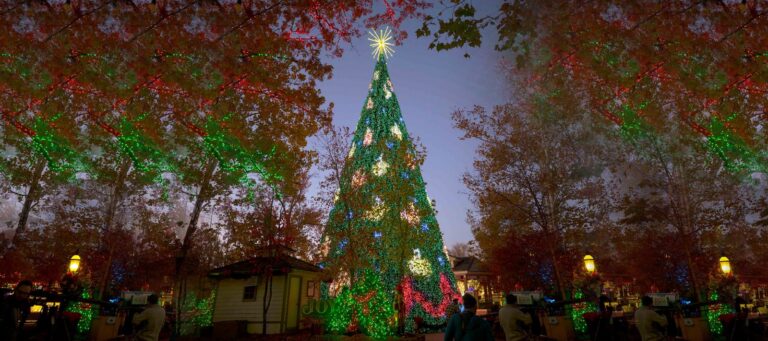 A tall Christmas tree lit green with a gold star topper, framed by autumn trees strung with red and green lights at dusk