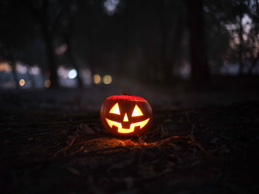 A single carved jack-o'-lantern glowing on leaf-covered ground among dark trees at dusk